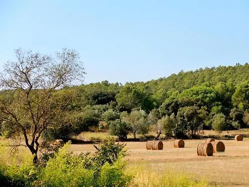Can Barrull-Costa Brava-Emporda Sant Feliu de Boada 3*,  Espagne